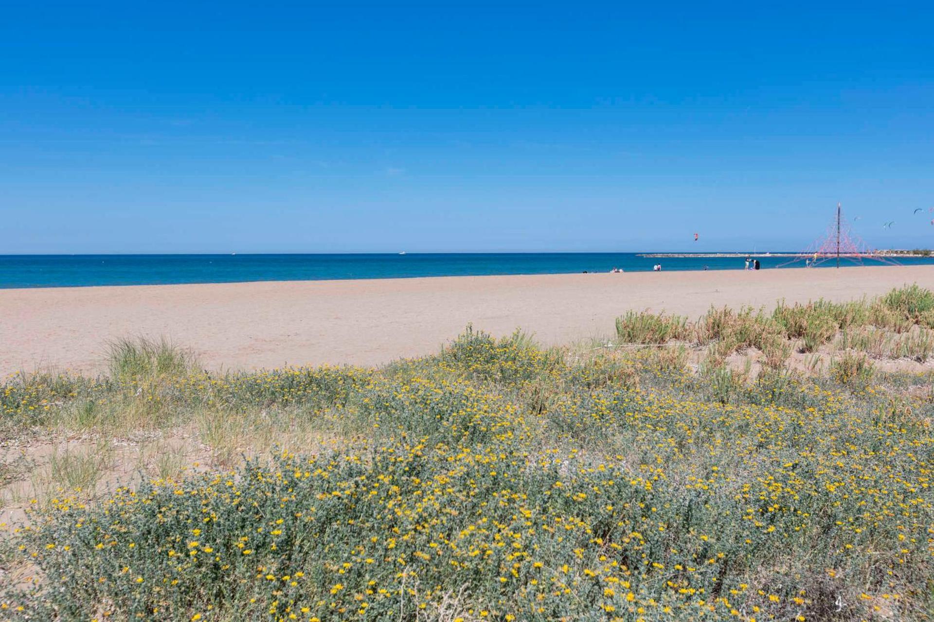 דניה Casa Portet מראה חיצוני תמונה